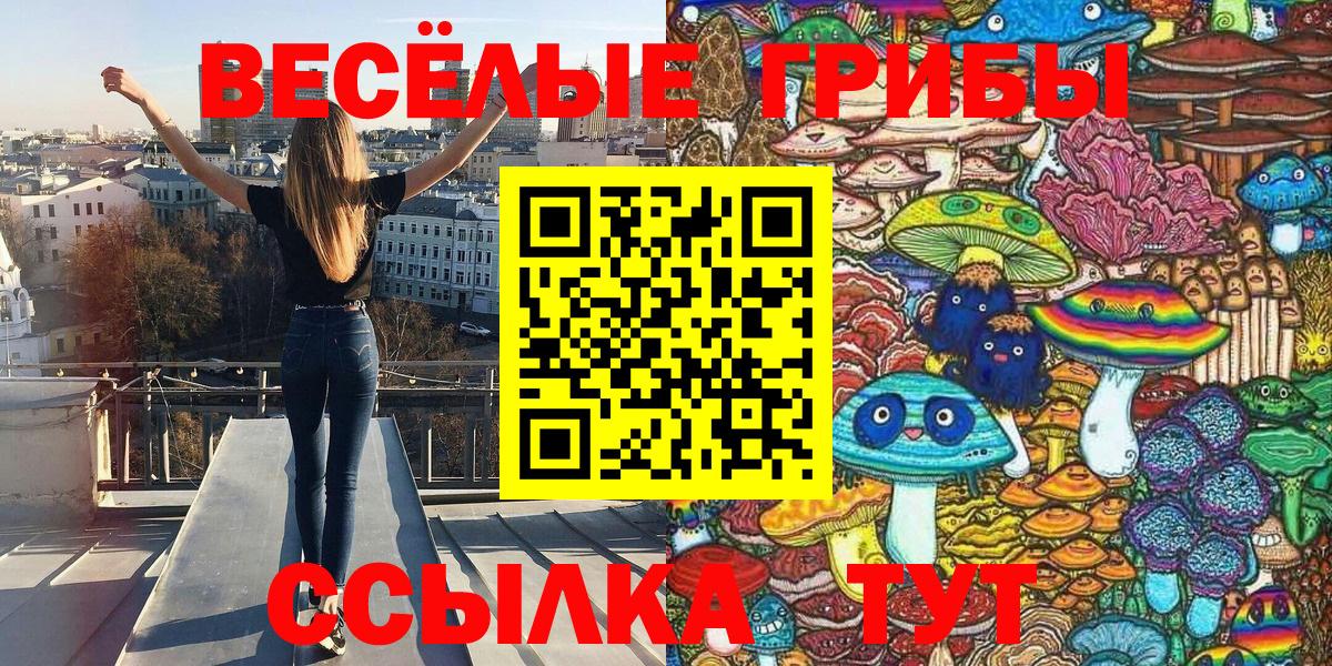 Кореновск  Псилоцибиновые грибы Magic Shrooms  Вход с VPN 